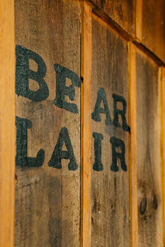 bear-lair picture 29
